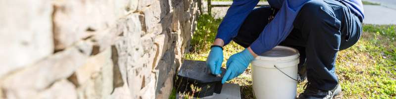 Wildlife Removal